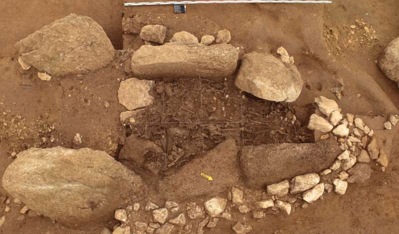 Neolithic genomes from modern-day Switzerland indicate parallel ancient societies