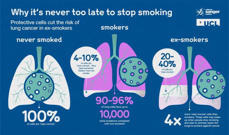 Never too late to quit -- protective cells could cut risk of lung cancer for ex-smokers