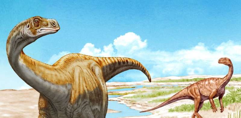 New dinosaur discovery in Switzerland fills a gap in evolutionary history of sauropods
