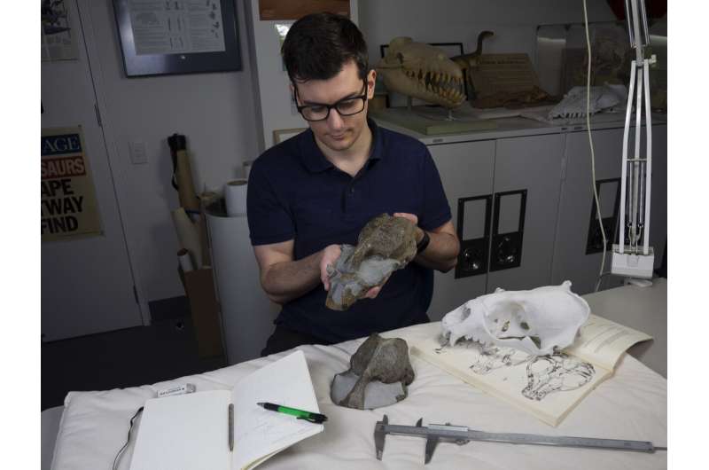 New fossil seal species rewrites history