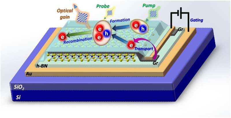 New mechanism of optical gain in two-dimensional material requires only extremely low input power