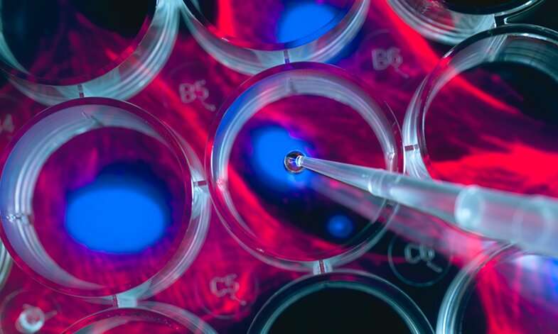 New research into stem cell mutations could improve regenerative medicine