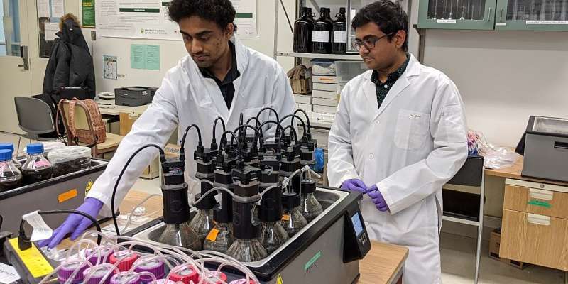 New technique could accelerate waste-to-methane production