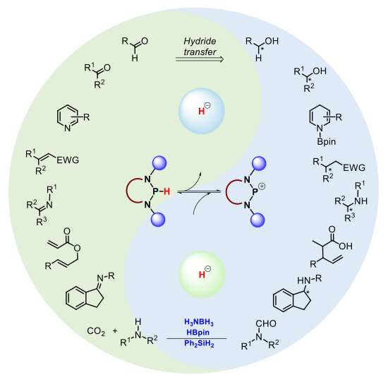 N-heterocyclic phosphines: promising catalysts for transfer hydrogenation