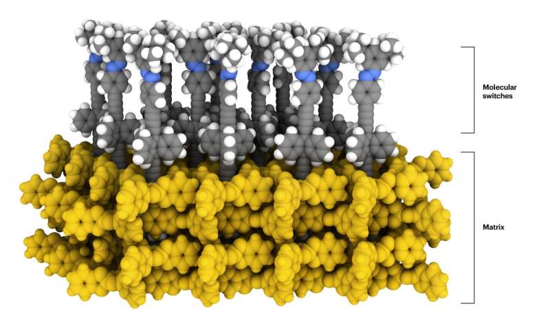 NMR confirms molecular switches retain function in 2D-array