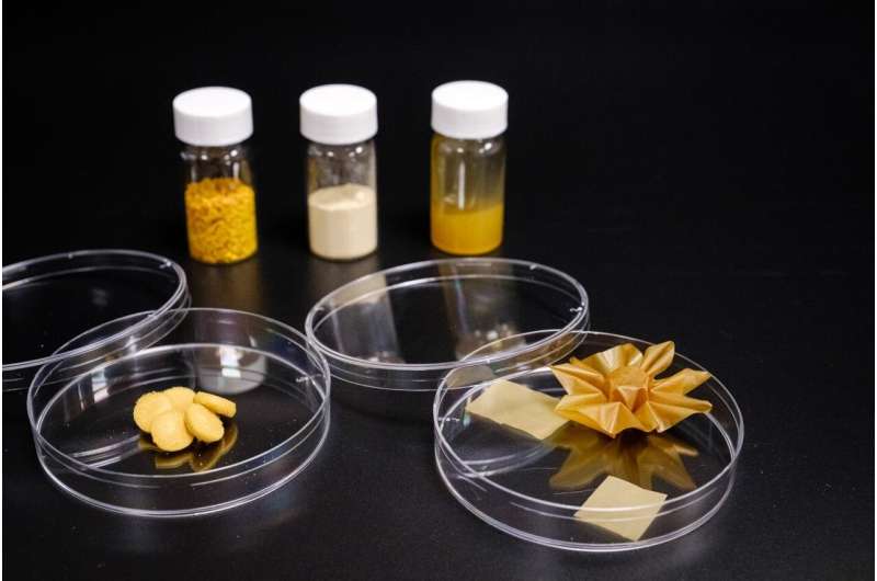 NTU scientists transform ultra-tough pollen into flexible material