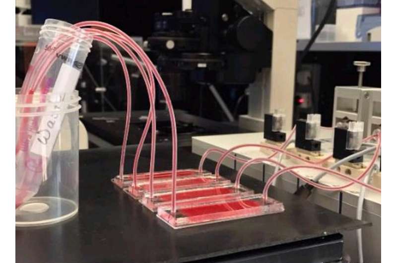 NYU Abu Dhabi researchers develop new tool for performing cancer liquid biopsies