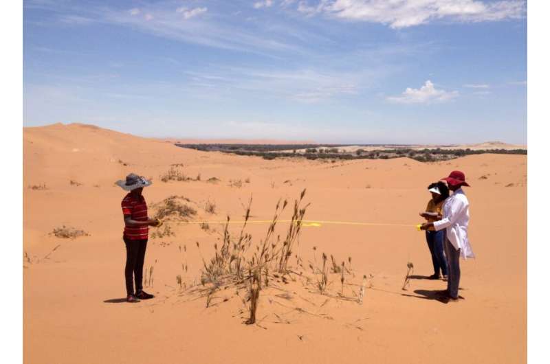 One of the world's driest deserts is the focus of a new study on our changing climate