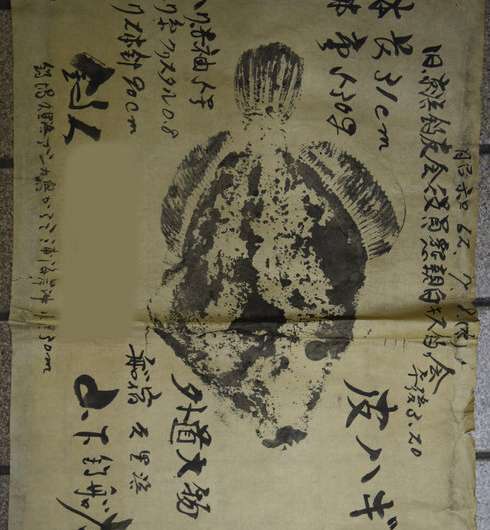 On the edge between science and art: Historical biodiversity data from Japanese 'gyotaku'