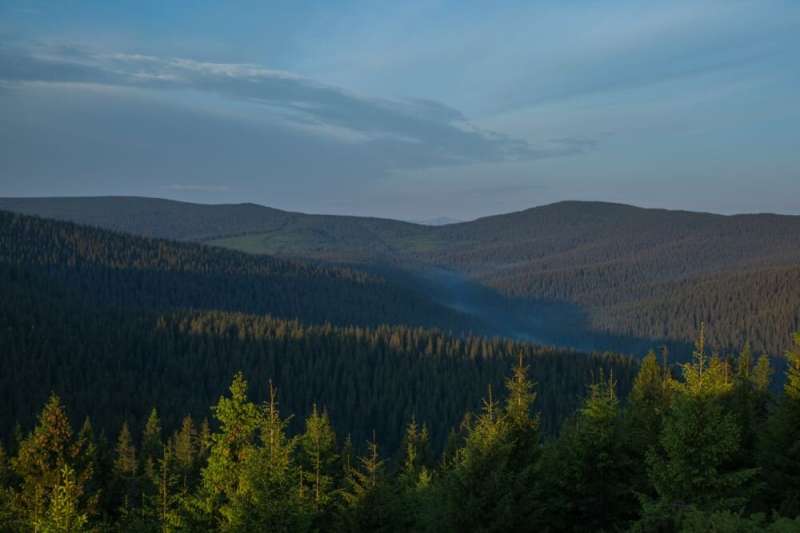 Over 20,000 hectares of the oldest Ukrainian forests are set to become natural monuments
