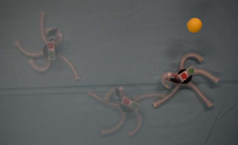 PATRICK: A brittle star-inspired robot that can crawl underwater
