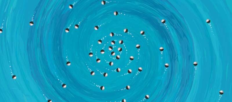 Physics principle explains order and disorder of swarms