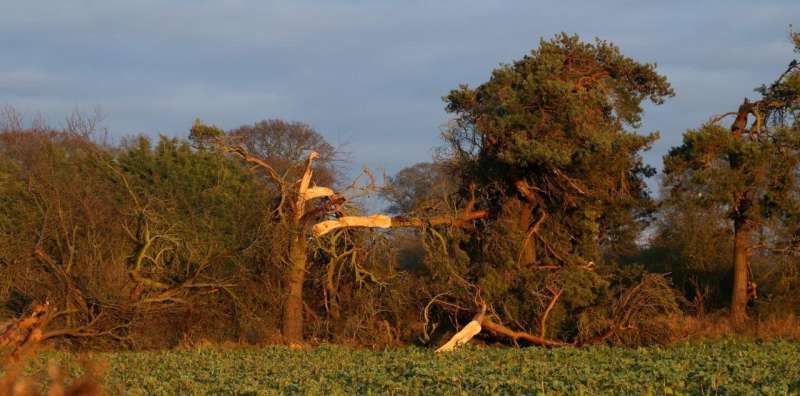 Predicting tornadoes on UK cold fronts for the first time