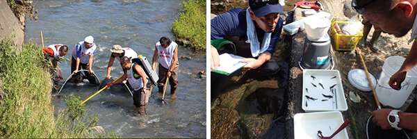 Protecting eels protects freshwater biodiversity