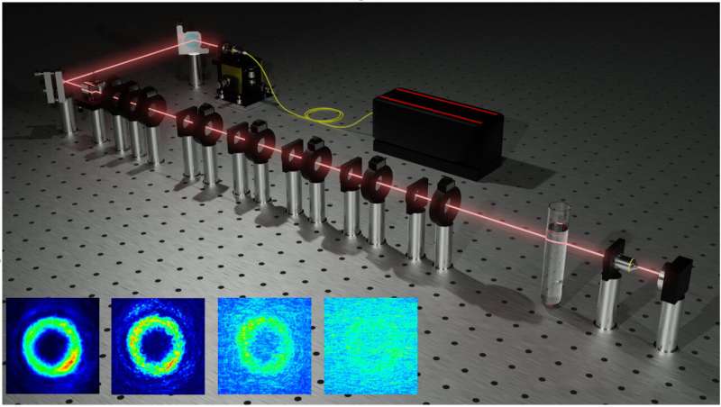 Quantum body scanner? What happens when vector vortex beams meet scattering media