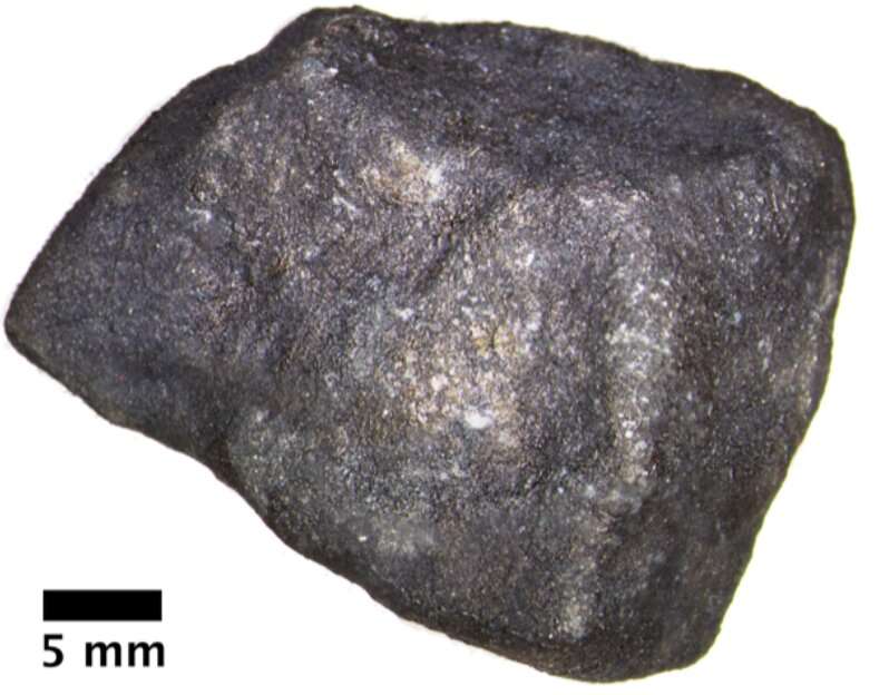 &quot;Fireball&quot; meteorite contains pristine extraterrestrial organic compounds