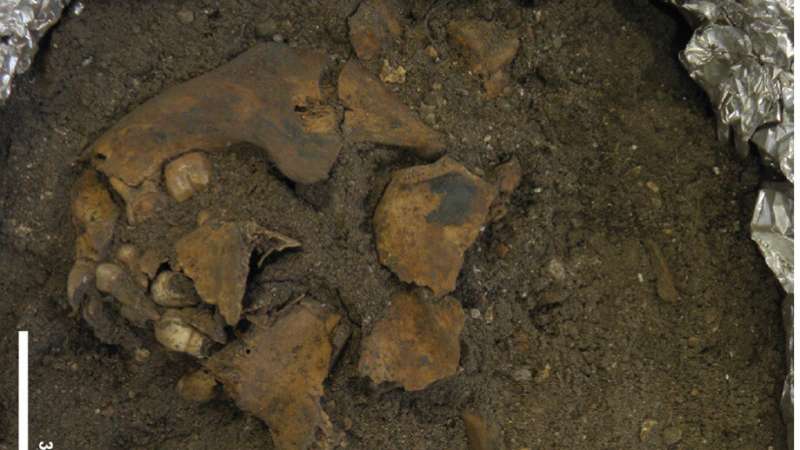 Rare 8,000 year old child burial reveals secrets of the dead