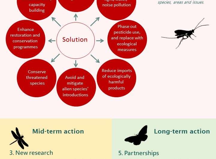 Researchers united on international road map to insect recovery