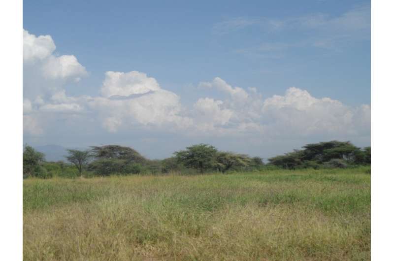 Restoration of degraded grasslands can benefit climate change mitigation and key ecosystem services