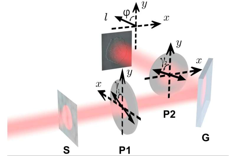 Seeing the Invisible: Polarizer Adjustments Increase Visibility of Transparent Objects