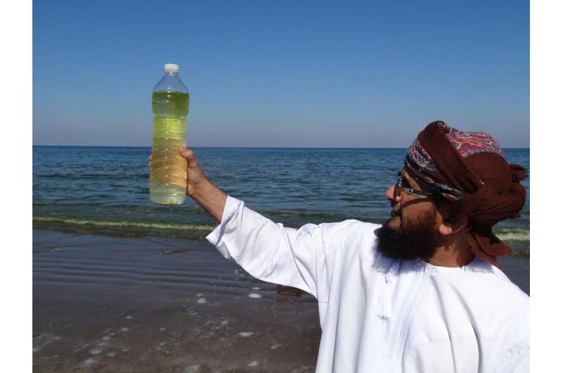Shrinking snowcaps fuel harmful algal blooms in Arabian sea