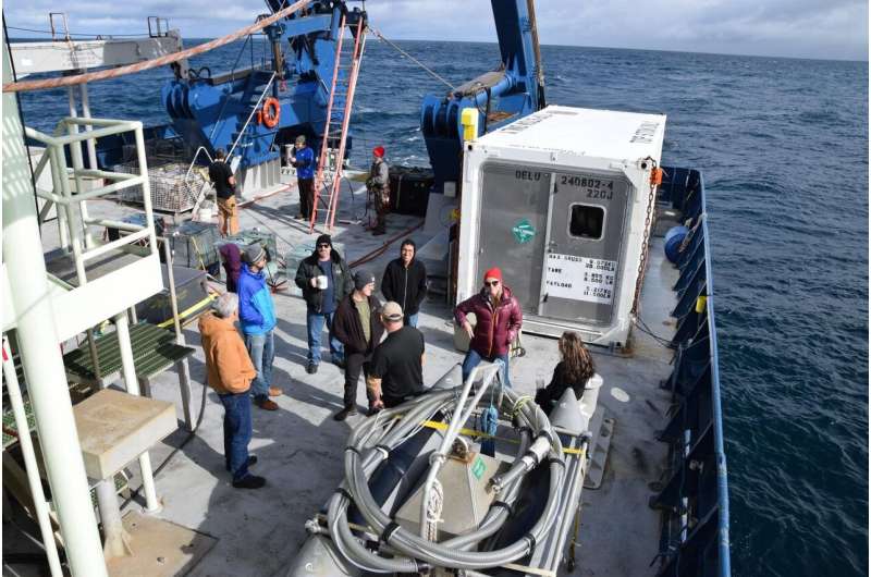 Smaller than expected phytoplankton may mean less carbon sequestered at sea bottom