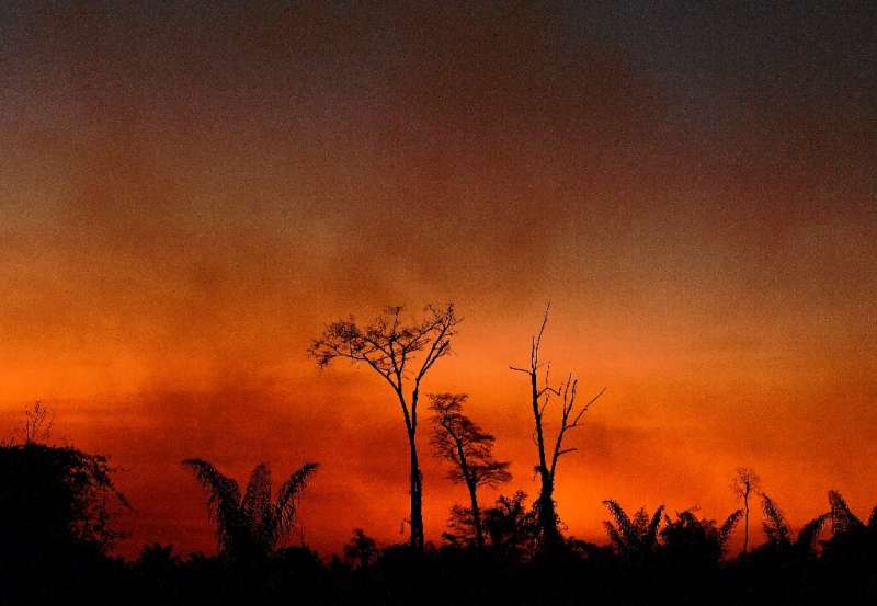 Smoke rises from a burnt area of land in the Xingu Indigenous Park, Mato Grosso state, Brazil, in the Amazon basin, on August 6,