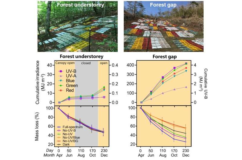 Solar radiation accelerates carbon cycle process of temperate forest ecosystems