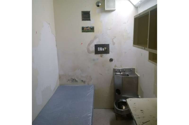 Solitary confinement by any other name is still torture
