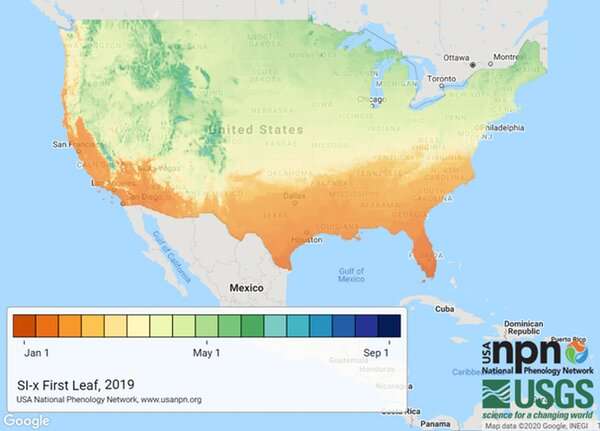 Spring is arriving earlier across the US, and that's not always good news
