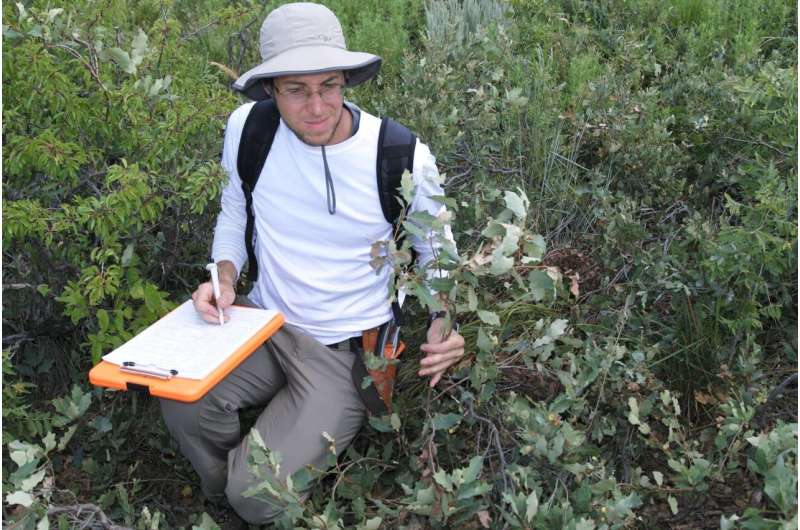Study helps arboreta, botanical gardens meet genetic diversity conservation goals