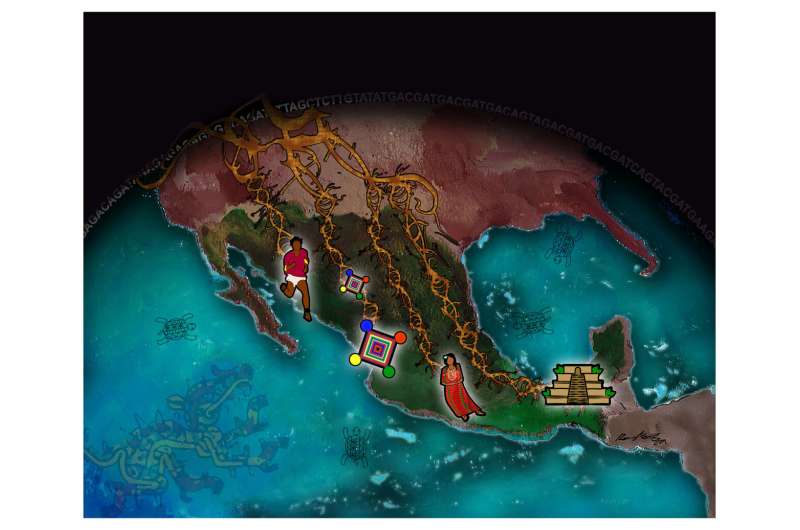 Study reveals pre-Hispanic history, genetic changes among indigenous Mexican populations