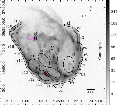 Supernova remnant N132D investigated in detail