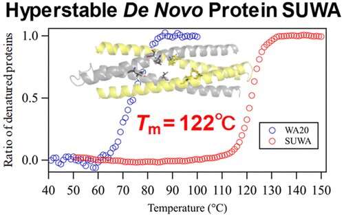 SUWA: A hyperstable artificial protein that does not denature in high temperatures above 100&amp;deg;C