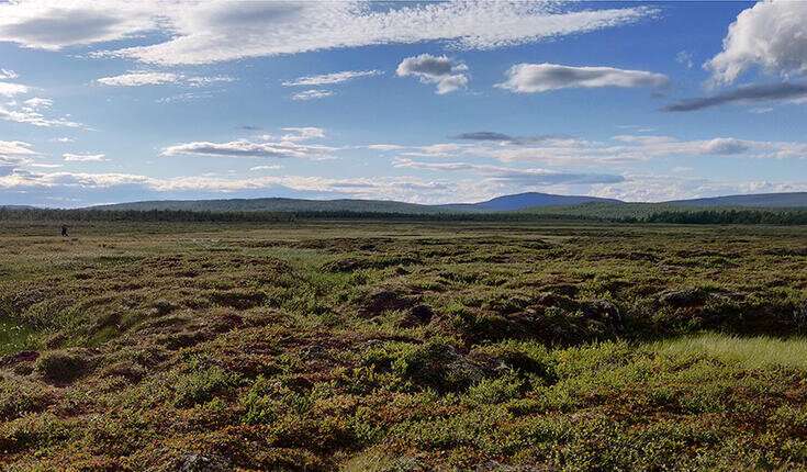 Thawing permafrost releases organic compounds into the air
