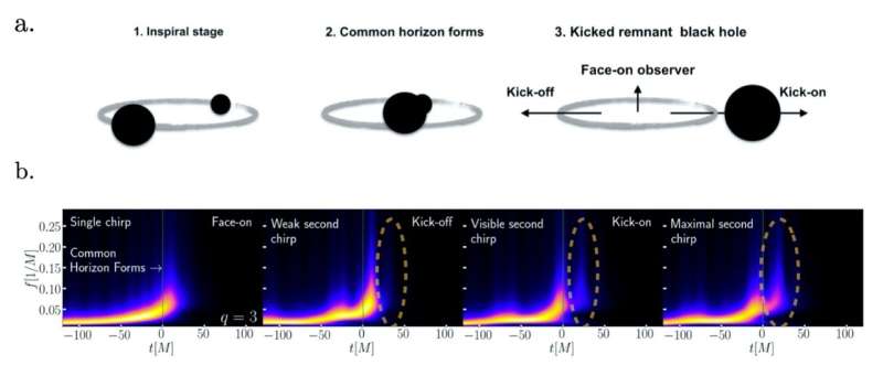 The black hole always chirps twice: Scientists find clues to decipher the shape of black holes