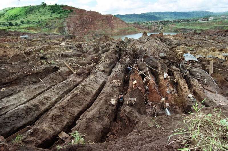 The high levels of mercury in the Brazilian Amapa region are being caused by illegal gold mining, according to a researcher from