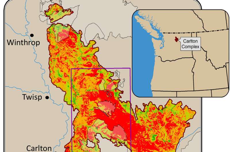 Thinning, prescribed burns protected forests during the massive Carlton Complex wildfire