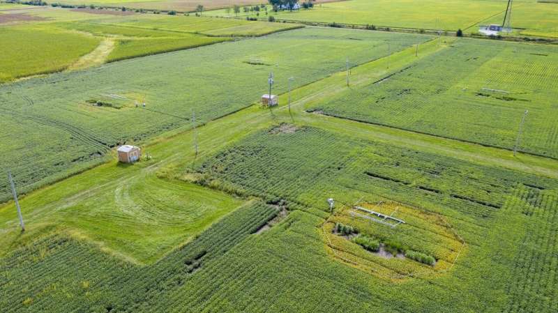 To predict how crops cope with changing climate, 30 years of experiments simulate future