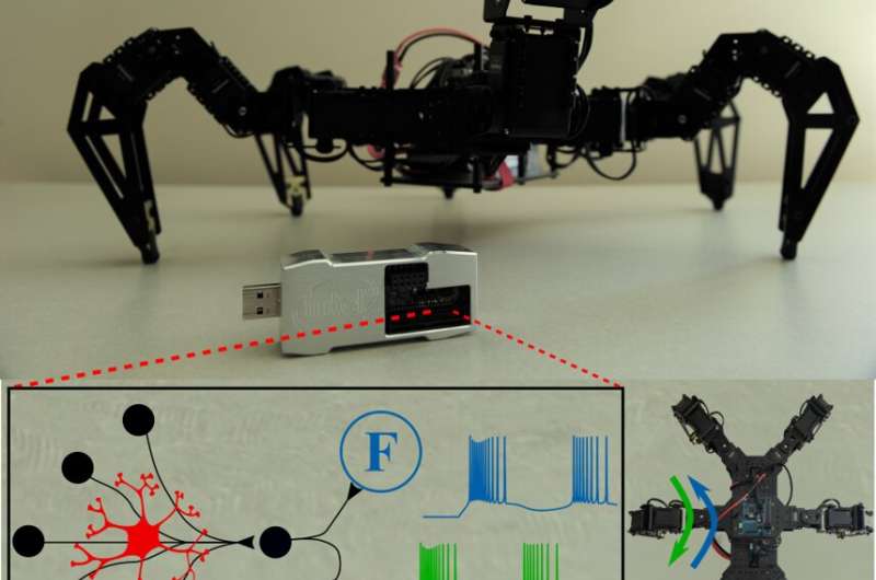 Using astrocytes to change the behavior of robots controlled by neuromorphic chips