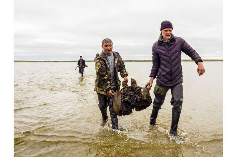 Well-preserved mammoth skeleton found in Siberian lake