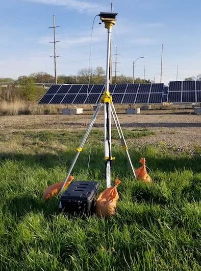 Why do birds crash into solar panels?