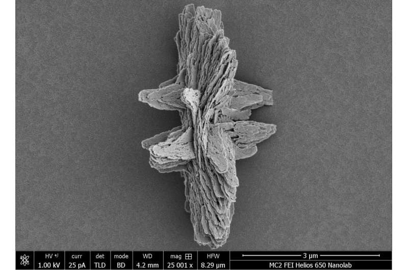 World’s most complex microparticle: A synthetic that outdoes nature’s intricacy