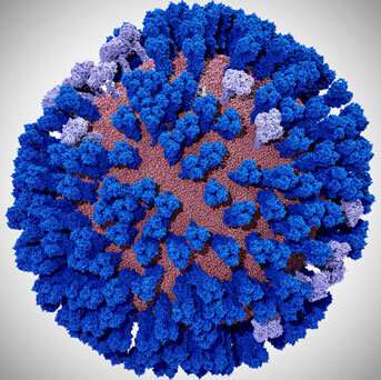 Breakthrough virus simulations tackle the flu