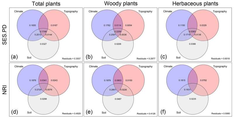 Researchers investigate the spatial pattern of plant diversity in the Horn of Africa
