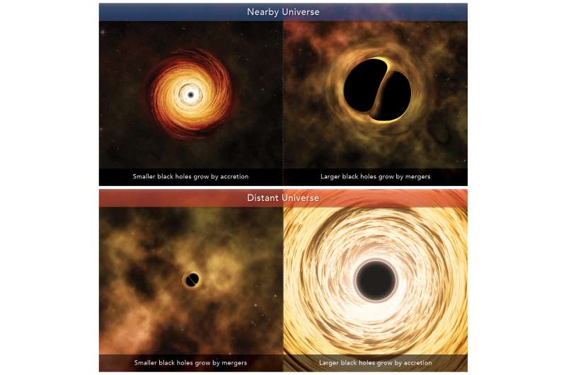 Scientists shed light on growth of black holes