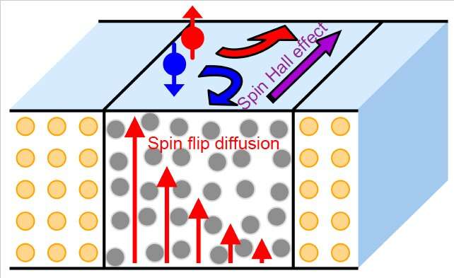 Study unveils dependence of spin memory loss in a variety of interfaces