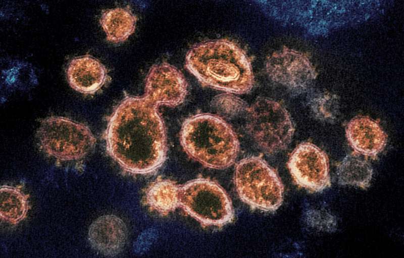 Profile of a killer: Unraveling the deadly new coronavirus