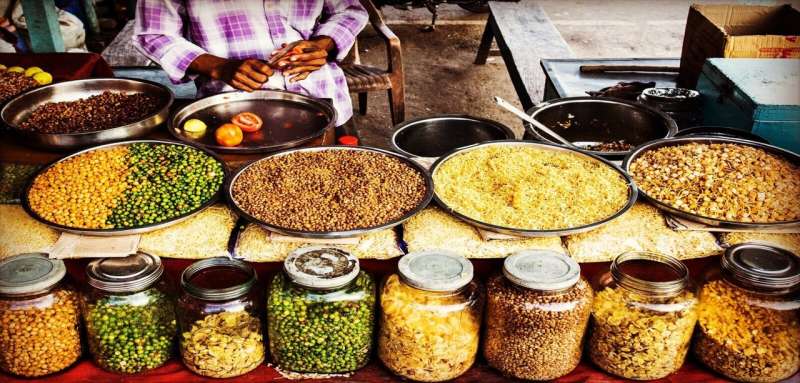 Researchers develop tool to tackle diet epidemic in India