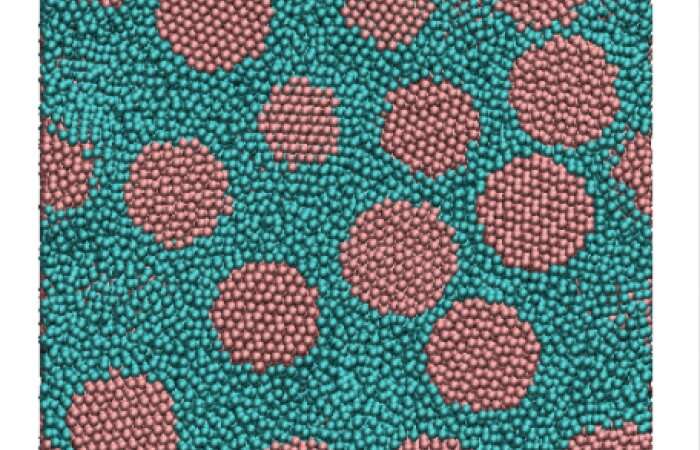 Nanomaterials— short polymers, big impact